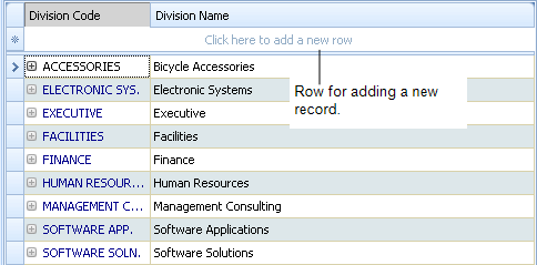 screen shot of a grid view with the buffer row  for adding a new record