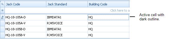 screen shot of a grid view showing an active cell