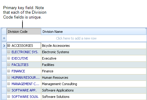 screen shot of a grid view showing the primary key field
